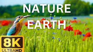 NATURE EARTH IN 8K (ULTRA HD) - EPIC VIRTUAL TOUR ✈️🏝🌿🌴 | SLEEP MUSIC