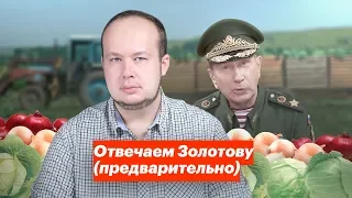 Отвечаем Золотову (предварительно)