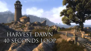 Elder Scrolls IV: Oblivion - Harvest Dawn |  First 40 Seconds Looped (1 Hour)