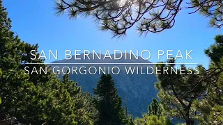 San Bernadino Peak - San Gorgonio Wilderness
