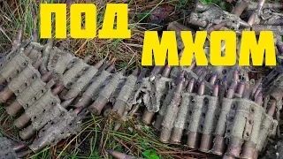 Weapons in  unreal conition found in the swamp! WW2 metal detecting