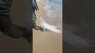 how to throw a 3.6meters (12 feet) hight cast net. ρίψη πεζόβολου 360 ύψος