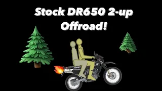 Stock DR650 off-road with a passenger