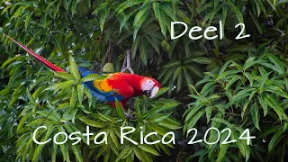 Costa Rica maart 2024 deel 2
