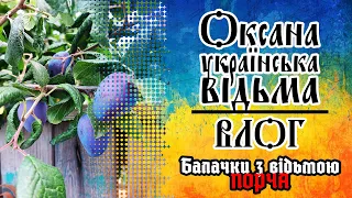 📎ПОРЧА. Як вберегтися? Що робити?  🩸Балачки з відьмою #відьма #влог #полтавщина #порча