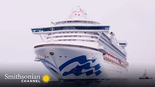 A Cruise Ship Faces a Tense Situation as it Docks into Port 💎👸 Mighty Cruise Ships | Smithsonian