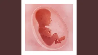 Womb Heartbeat Sleepy Baby (Loopable no fade)