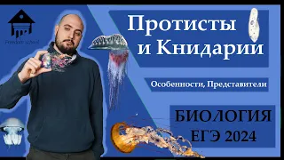 Протисты и Кишечнополостные для ЕГЭ 2024 |ЕГЭ БИОЛОГИЯ|Freedom|