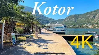 Kotor Montenegro 🇲🇪 Walking Tour along the coast 4K