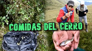 COMIDAS DEL CERRO | John Valverde