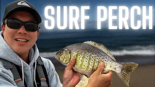 THE ULTIMATE CATCH & COOK GUIDE:  BARRED SURF PERCH!
