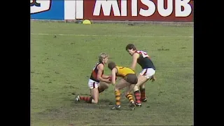 1984 VFL Grand final - Essendon v Hawthorn