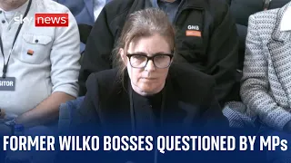 Former Chair and CEO give evidence to Business and Trade Committee on Wilko's collapse