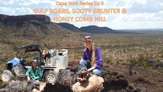 Cape York Series Ep 3 - BOARS, SOOTY GRUNTER & HONEY COMB HILL- Pig Hunting Australia