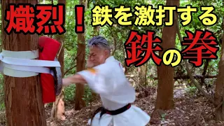 【超人の拳】鉄のプレートを激打する覇拳！渾身のストレート炸裂！鍛行家伊与田の過酷な『覇拳鍛錬』公開、杉の木を打ち砕く突きの連打！