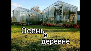 ОСЕНЬ в деревне/ Мы дома/ Сад и огород/ Теплицы/ Обзор/ #village #деревня #садогород #томатыперцы