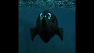 THE BIGGEST WATER DRAGON - Beasts Of Bermuda