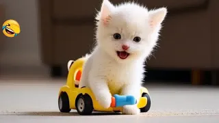 😻😅 New Funny Cats and Dogs Videos 🙀😍 Best Funny Animals 2024 # 16