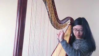 Stephen Schwartz/Hans Zimmer River Lullaby from Prince of Egypt (harp arrangement)