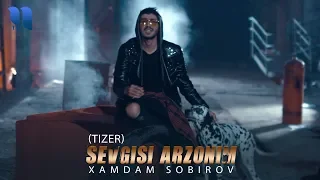 Xamdam Sobirov - Sevgisi arzonim (tizer) | Хамдам - Севгиси арзоним (тизер)