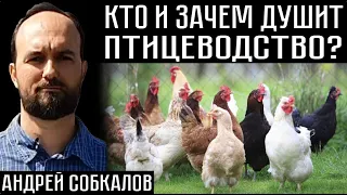 КТО И ЗАЧЕМ ДУШИТ ПТИЦЕВОДСТВО - Андрей Собкалов