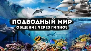 Подводный мир. Общение через гипноз.