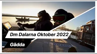 Dm Dalarna Oktober 2022 - Gädda