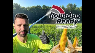 HELP! | Spraying Roundup Ready Field Corn | Dove Farming 2024