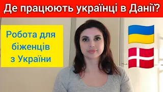 Робота для українців в Данії. Де працюють українські біженці?