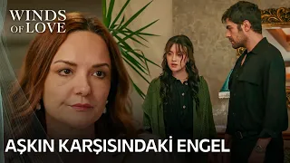 Songül'ün yaptıkları Halil ve Zeynep'i yakınlaştırıyor | Rüzgarlı Tepe 14. Bölüm