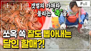 [Full] 한국기행 - 시골 달인 제2부 자연 밥상의 고수