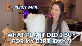 What PLANT did I buy for my BIRTHDAY? | Etsy plant mail unboxing