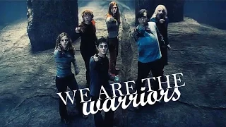 ►Harry Potter - Warriors