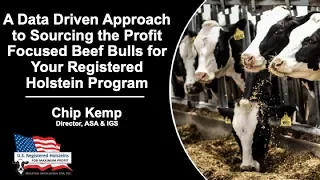 A Data Driven Approach to Profit Focused Beef Bulls for Your Registered Holstein® Program
