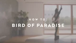 How To: Bird Of Paradise with Michelle Weinhofen