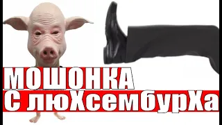 ✅ С люХсембурХа МОШОНКА ПОЛУЧИЛ ПО БАЛДЕ мошенники звонят по телефону