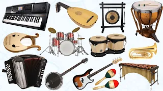 Musical Instruments names with pictures | Musical Instruments Names in English for toddlers