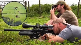 Crazy Long Range Pigeon Hunting!