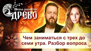 Чем заниматься с трех до семи утра. Разбор вопроса