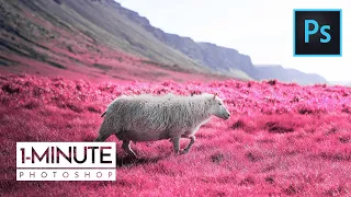 1-Minute Photoshop | Easy Make Infrared Photo Effect in Photoshop