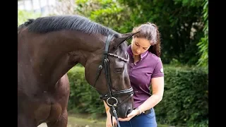 Hoe train ik mijn jonge paard?! | Danielle van Mierlo