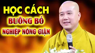 Học Cách Để Buông Bỏ Cơn Nóng Giận - Pháp Thoại Thầy Thích Pháp Hòa