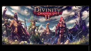 Прохождение Divinity: Original Sin II (Stream# 1) / Divinity: Original Sin II walkthrough.
