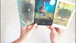 Oracle Card Reading - CLICK HERE - If you resonate with the cards