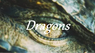 Dragons || Multifandom