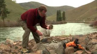 Roadside Geology - Yakima River Rocks