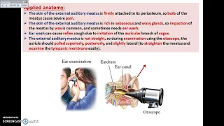 The Ear (2) - Applied Anatomy of External Ear - Dr. Ahmed Farid