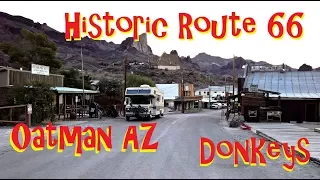 Historic Route 66 - Oatman Arizona - Donkeys & Sitgreaves Pass