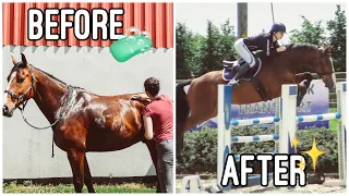 HORSE SHOW PREPARATION // Washing, Tack Cleaning + More