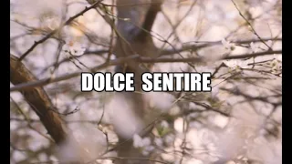 Dolce Sentire | Fratello Sole e Sorella Luna (con Testo - with Lyrics) @FocoB